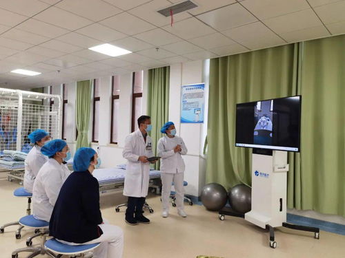 康復(fù)需要技術(shù)，更需要服務(wù)——黃裕桂談香務(wù)協(xié)作與信息技術(shù)咨詢服務(wù)的融合